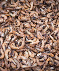 Ongepelde Hollandse garnalen 1000 gram