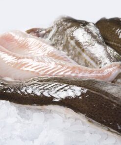 verse visfilets