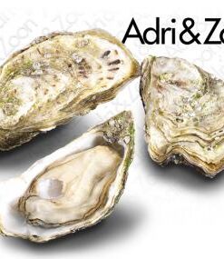 Oester Fin. de Normandië no 3