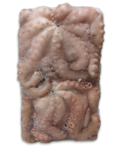 Octopus verpakt per stuk  1,3-1,5 kg dv