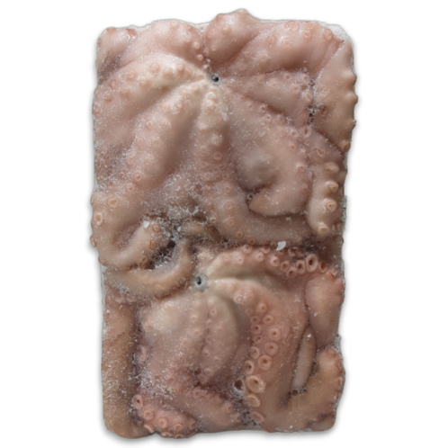 Octopus verpakt per stuk  1,3-1,5 kg dv